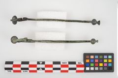 Foto von Bronzeschlangenfibel (NHMW-PRAE-025811)